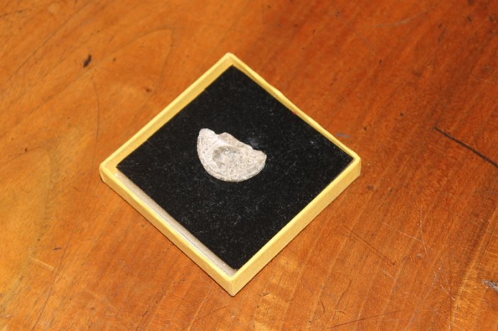 Studenti donirali srednjovjekovnu plombu