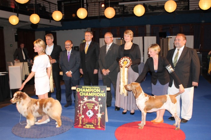 CACIB Zadar Dog Show 2015.