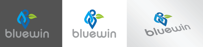 Projekt Bluewin