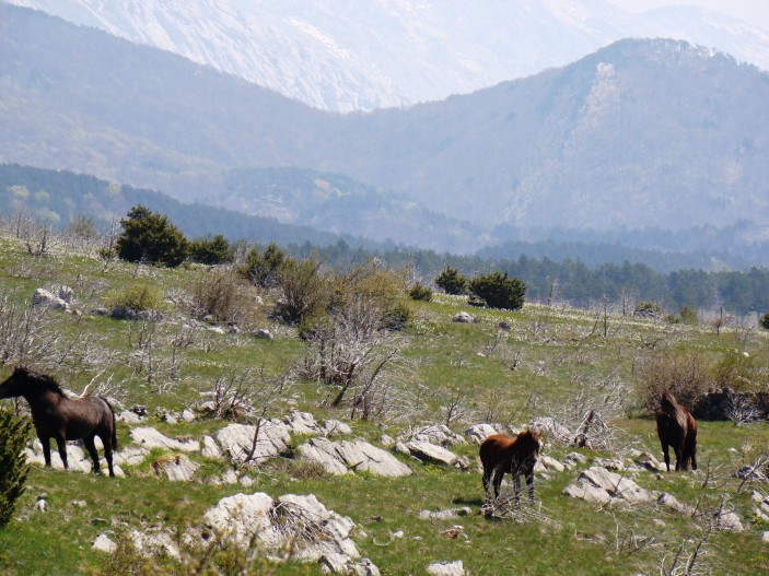 5. lipnja - svjetski Dan zaštite okoliša