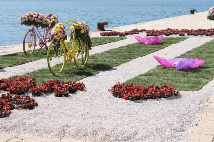 Otvoren Cvijet Zadra