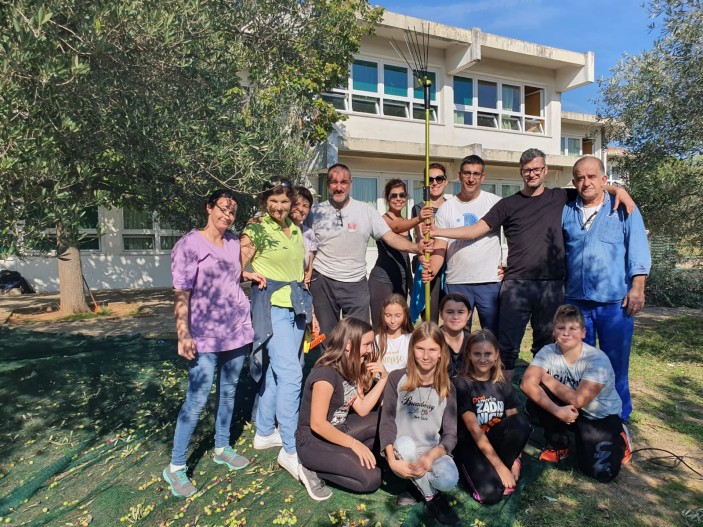 Berba maslina u OŠ Bartula Kašića